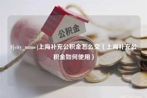 巨野上海补充公积金怎么交（上海补充公积金如何使用）